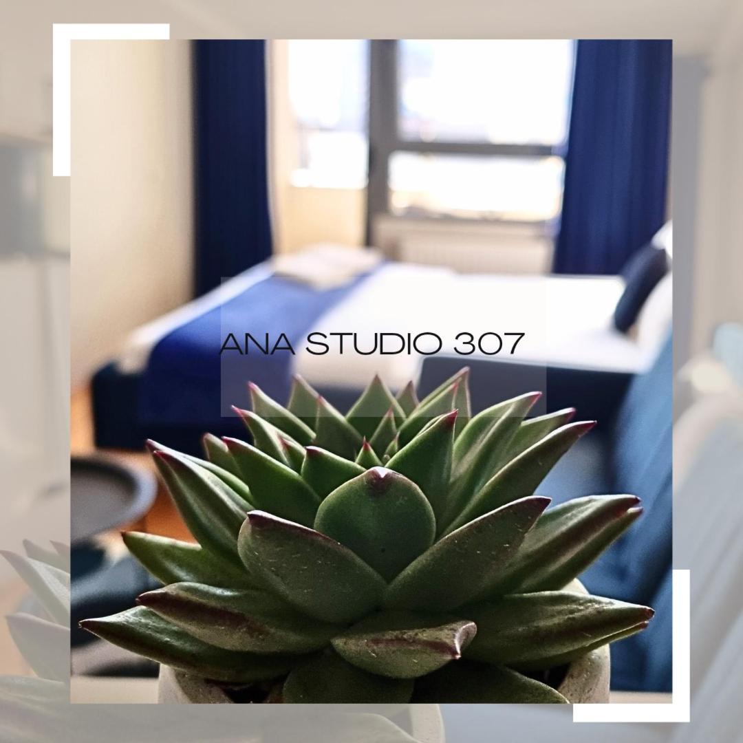 Ana Studio 307 Apartment Prishtine Bagian luar foto